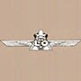 aero-mondo-liore-et-olivier-logo