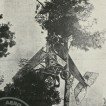 aero-mondo-avion-nieuport-abattu